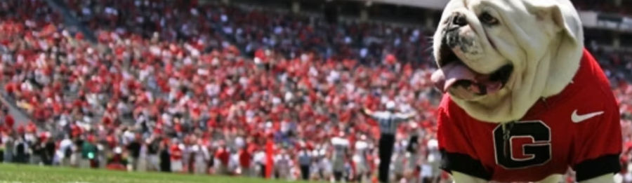University of Georgia bulldogs