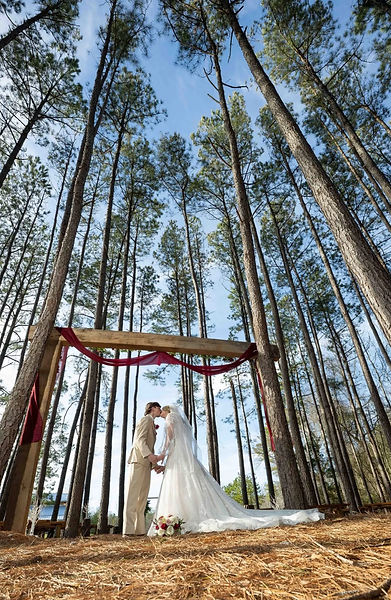 couple in pines