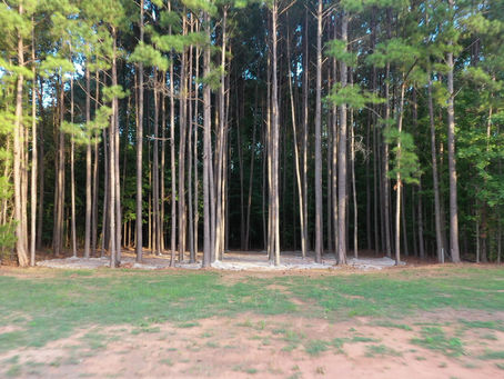 The Beauty of Outdoor Weddings in NorthEast Georgia Pines