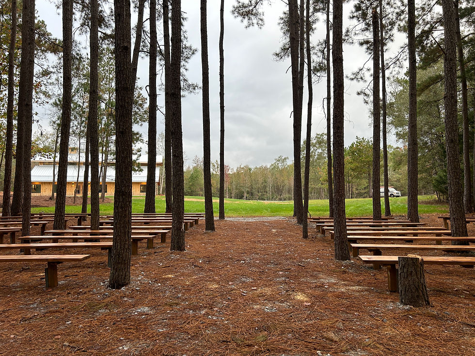 SpringHaus Farm's pine tree ceremony space near Athens, GA