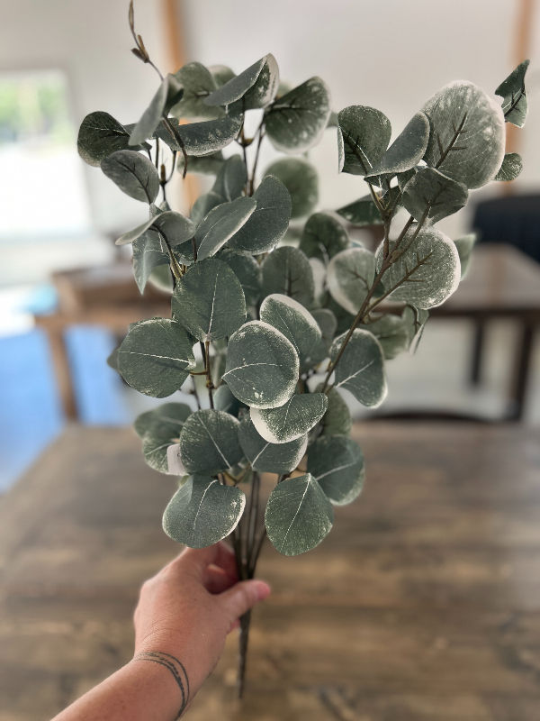 Money plant greenery