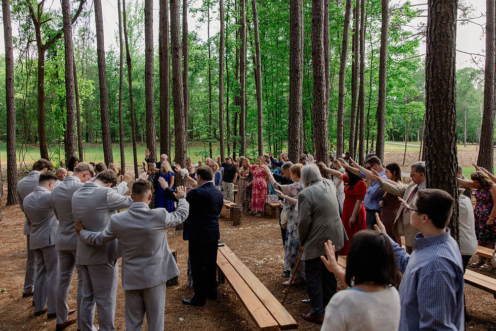 SpringHaus Farm wedding venue Athen's Georgia, Pine tree ceremony space