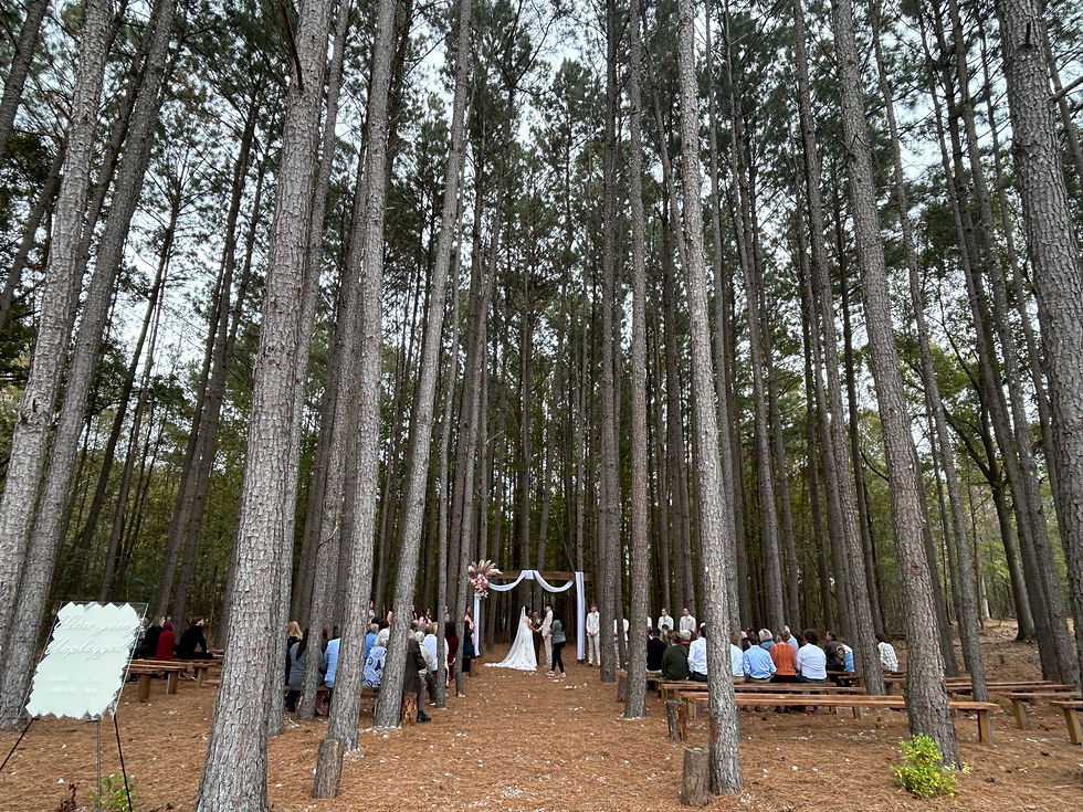 Wedding venue Athens Georgia pine ceremony space