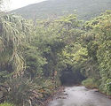 img023.jpg