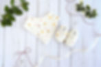 bib and shoe gift set