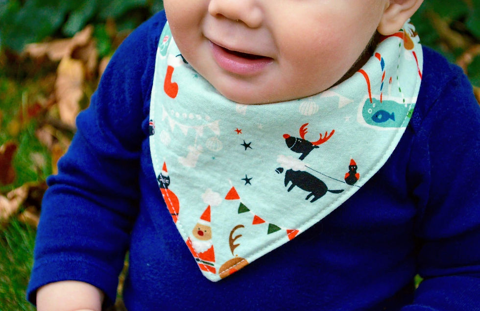 baby wearing christmas bib
