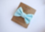 pastel blue hair bow