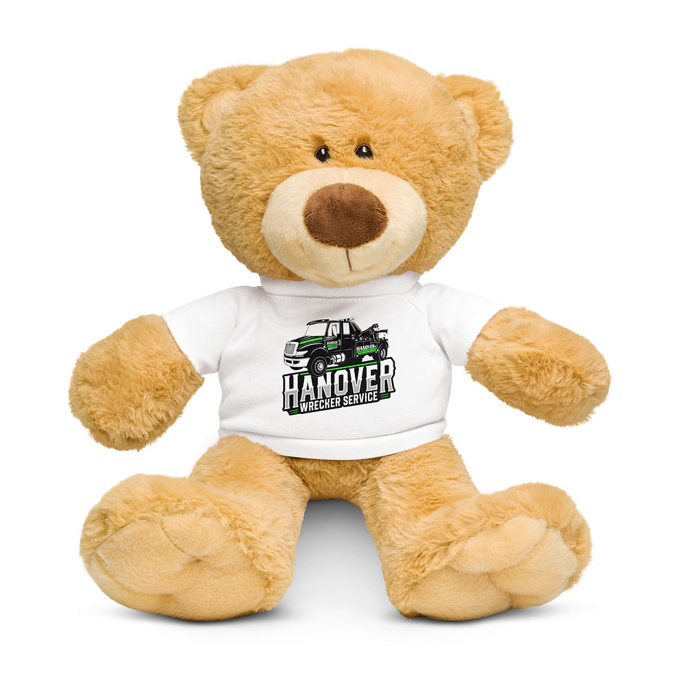 Thumbnail: Teddy bear with a t-shirt