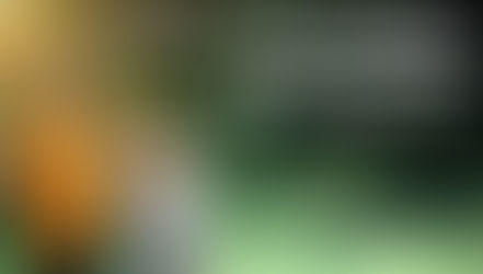 Weight Loss Doesn't Need to Equal Muscle Loss