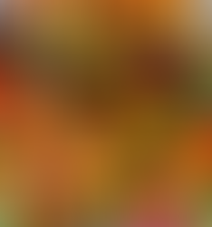 Colors Count - The Power of Phytonutrients