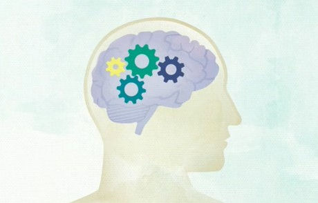 Build a Better Brain