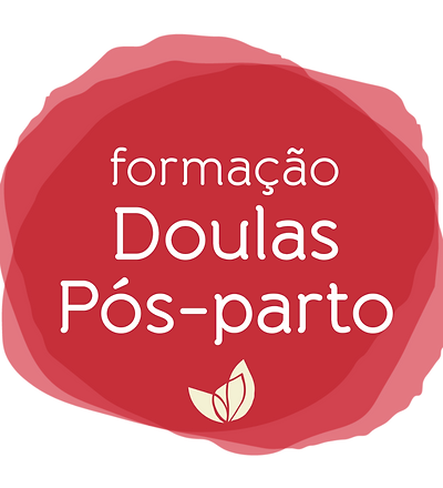Post feed  Formação DPP (4).png