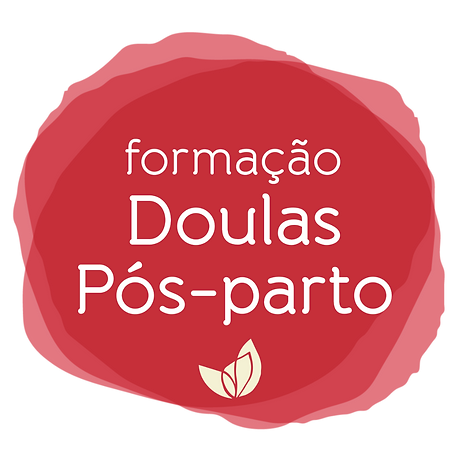 Post feed  Formação DPP (4).png