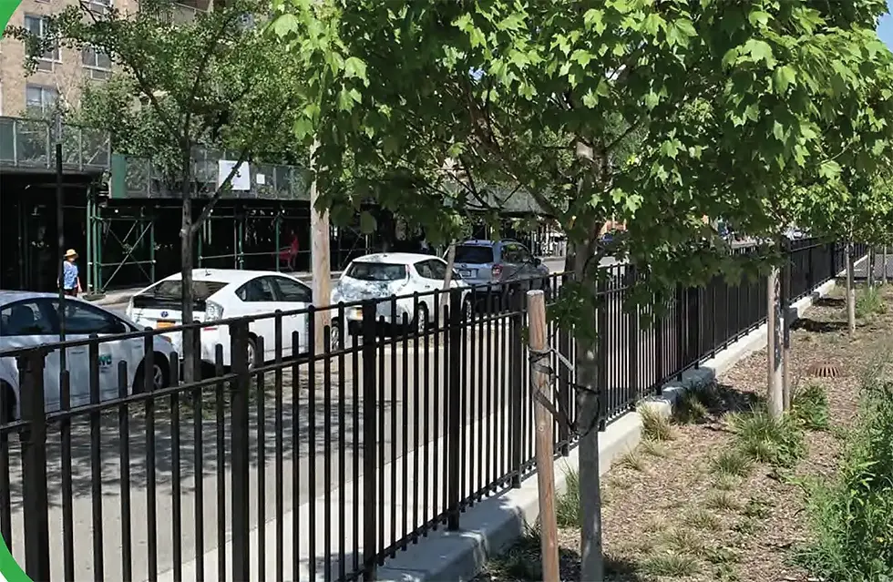tree-trench.webp