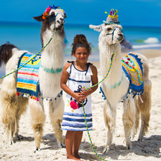 Llama Birthday.jpeg