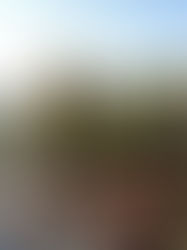 2026 Asics Los Angeles Marathon Week 