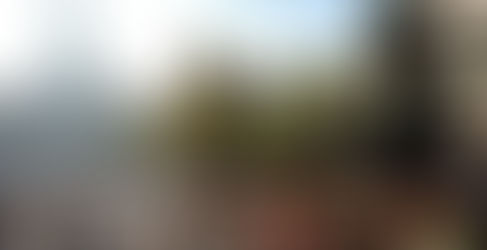 2026 Asics Los Angeles Marathon Week 