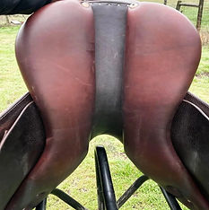 Damaged Saddles 4 .jpg