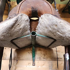 Damaged Saddles 1 .jpg
