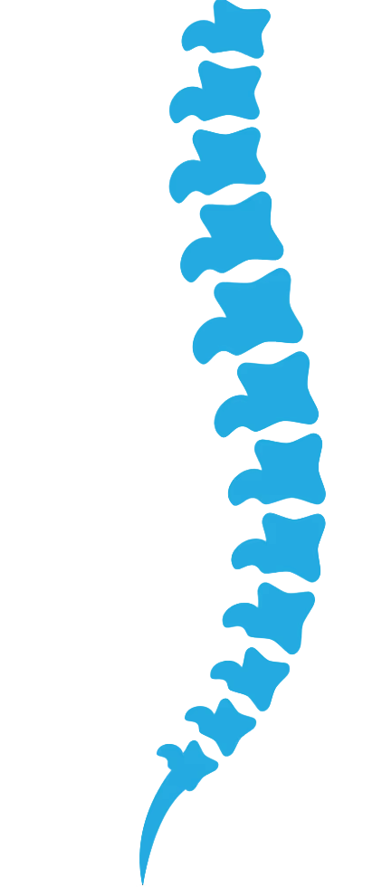 Spine.png
