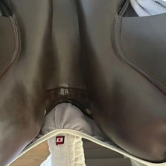 Damaged Saddles 2 .jpg