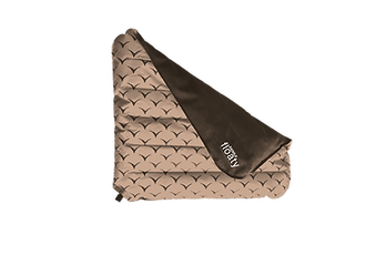 Floaty Cushion 2.png