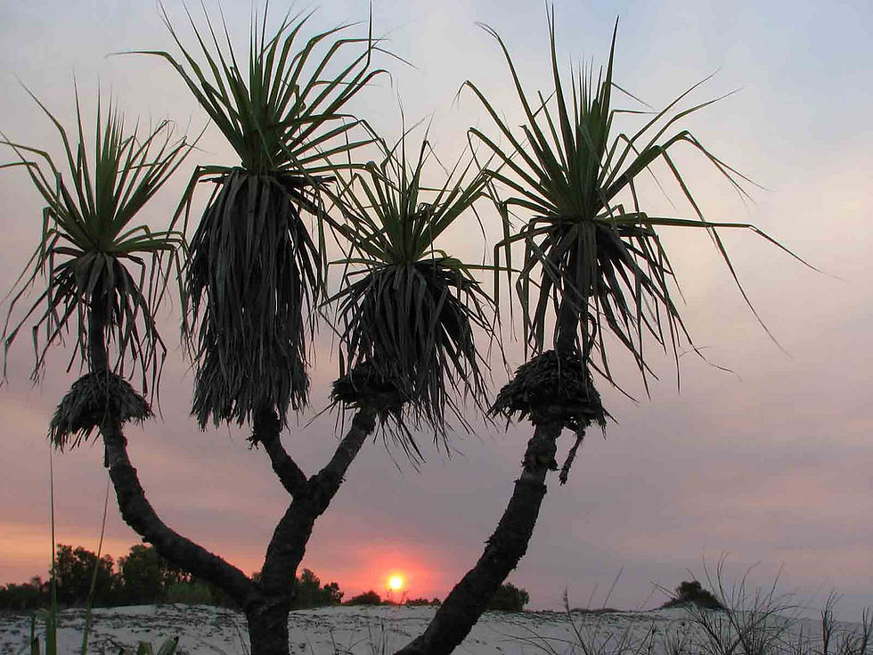 Lombadina Aboriginal cultural tours near Broome