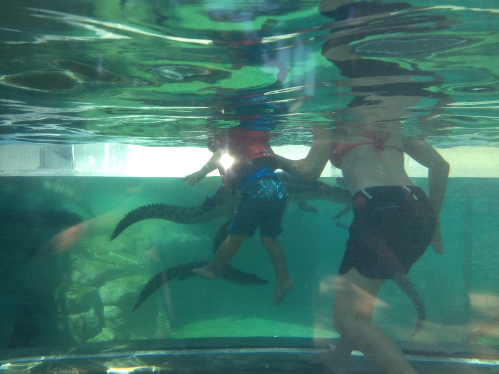 Crocosaurus Cove, Darwin
