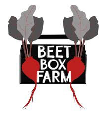 beetbox.jpeg
