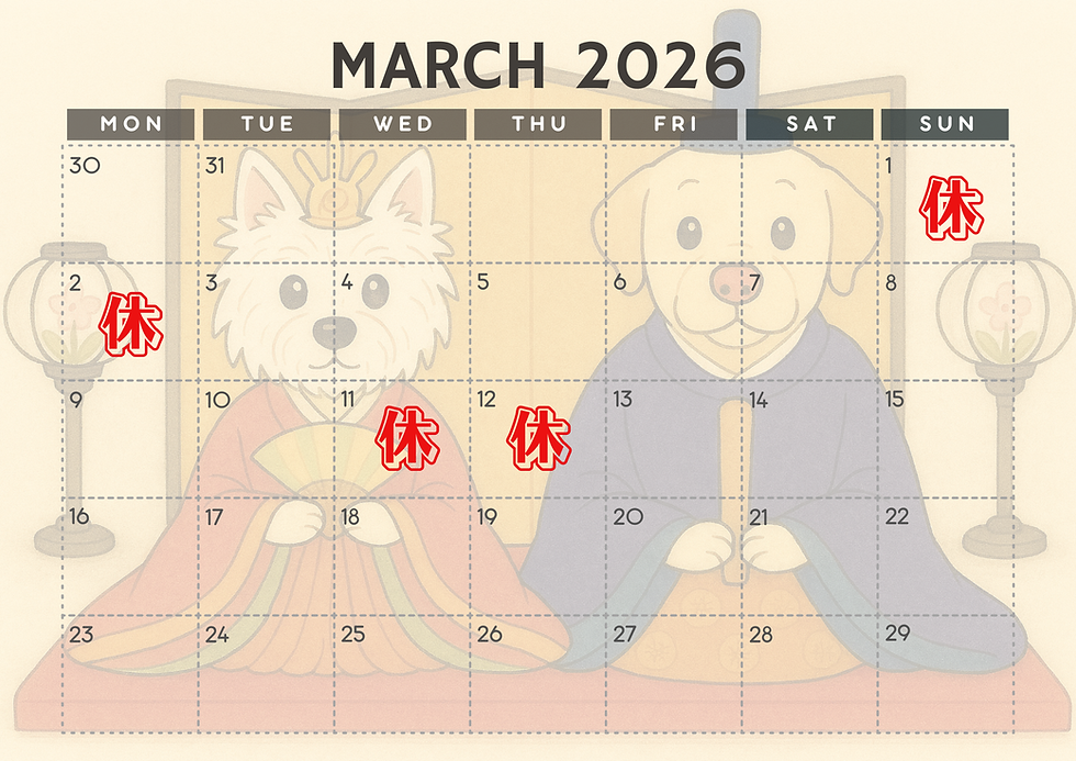 ３月のお休みのお知らせ