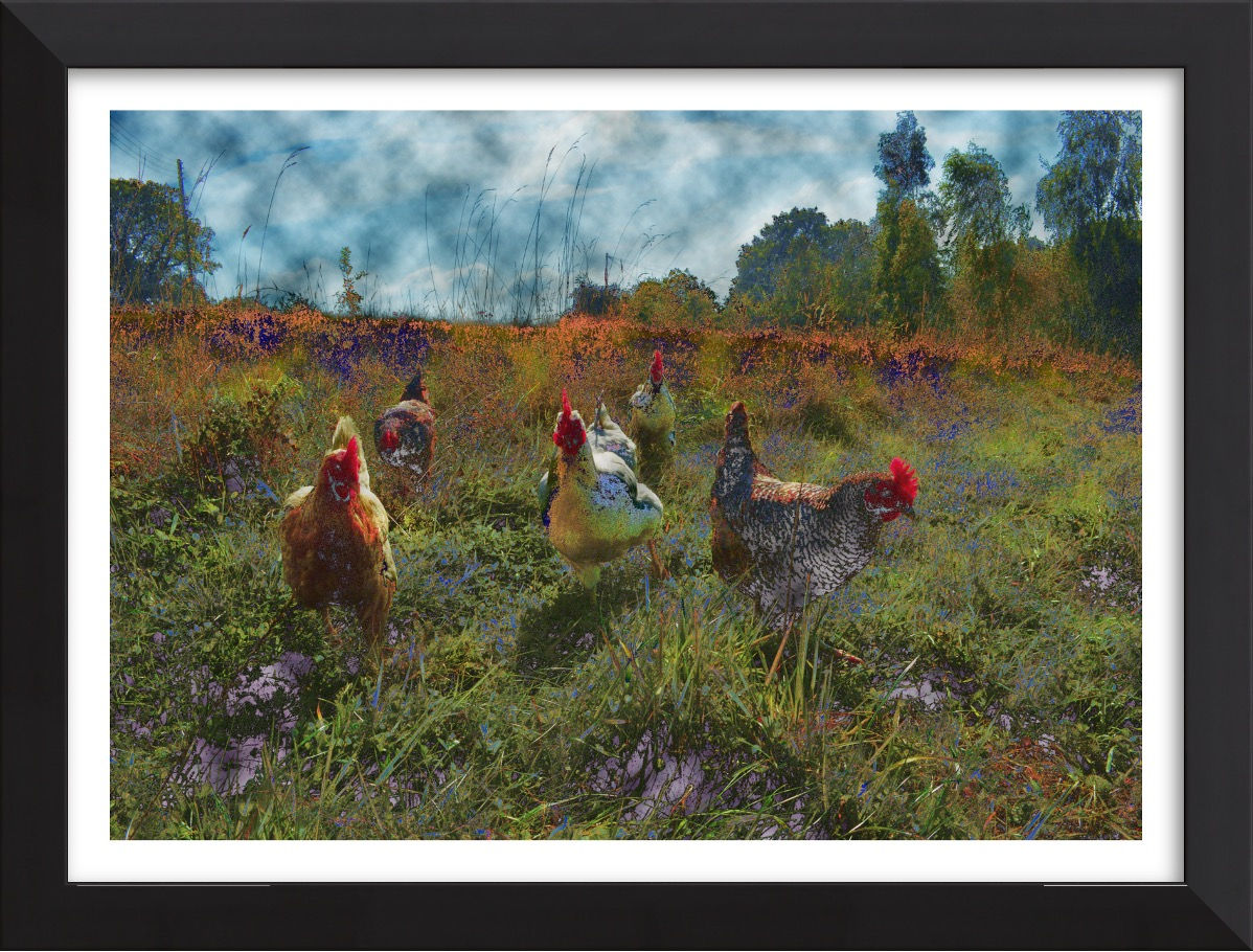 Heading Home for Supper II