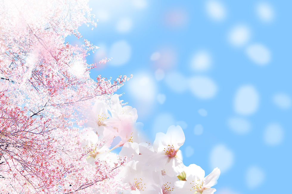 AdobeStock_132390870.jpeg
