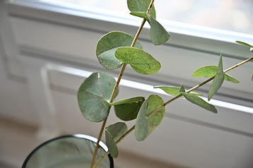 Deko im Raum von intoFlow in Hamburg