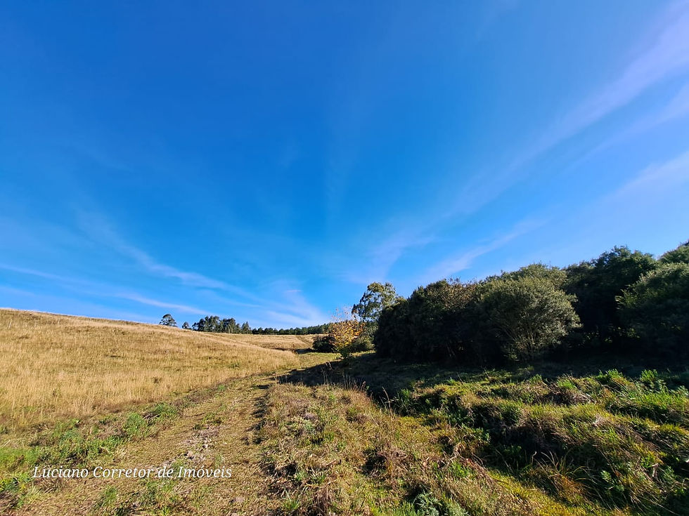 Miniatura: Luciano Ruschel Corretor Imóveis