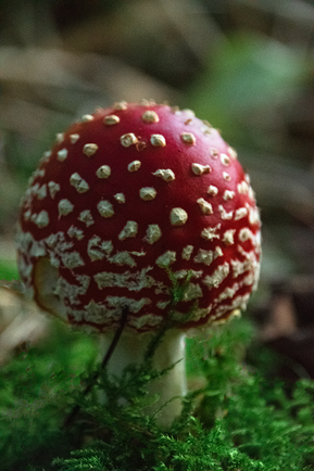 DSC_0248-2rr.png
