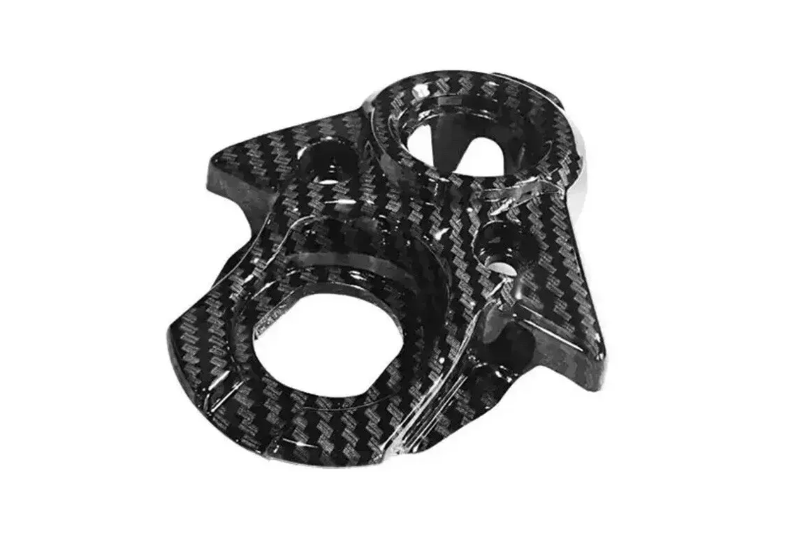 Carbon Ignition Cover