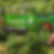 lasergun foto.jpg