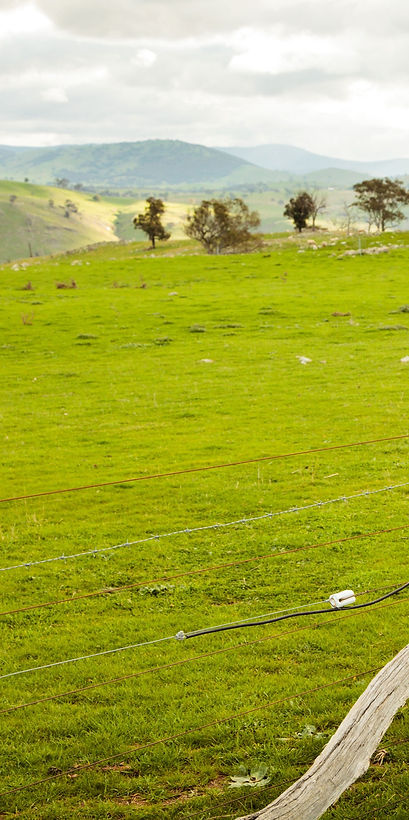 Aussie Farmer_edited.jpg