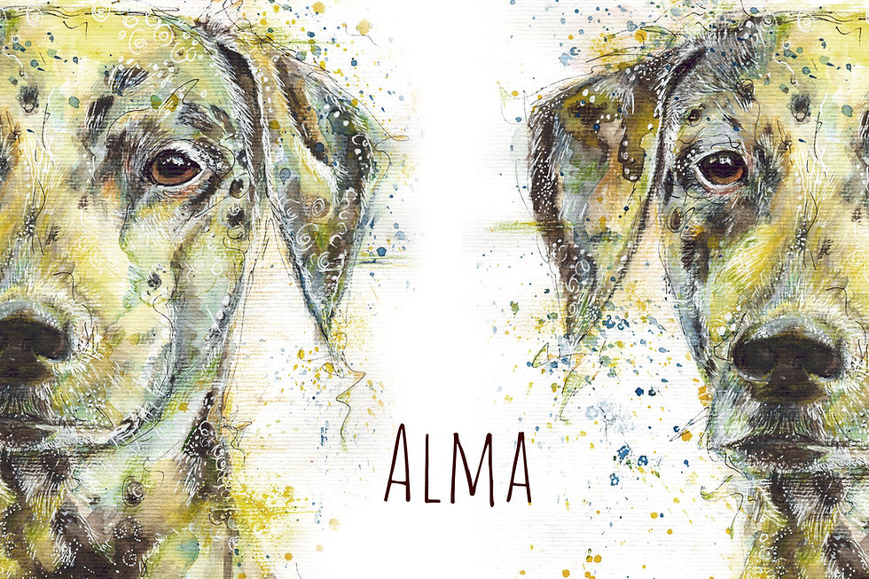 Alma - Dalmatinerhündin im Tierportrait