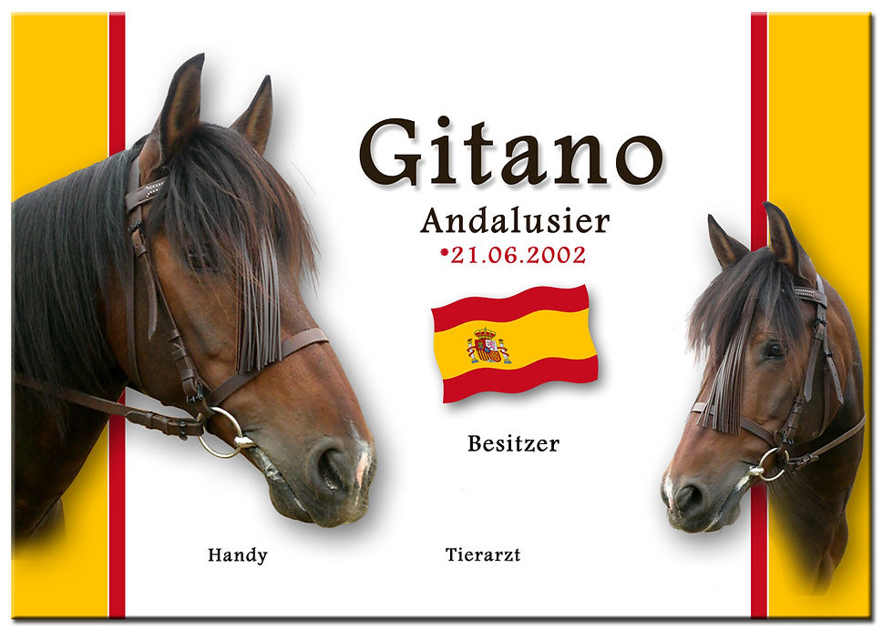 Gitano