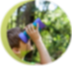 Untitled design (3).png