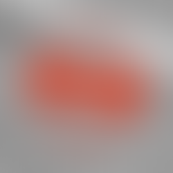 Add Your Name to Drew's Concord Bridge Signature List