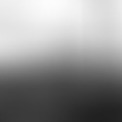 "La tumba de cemento", un poema de Brandon