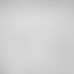 "La literatura es un arma que mata y no duele", por Kevin