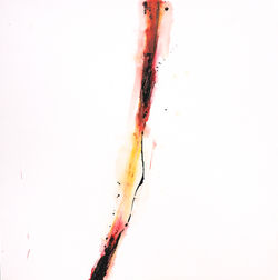 2008_80_1