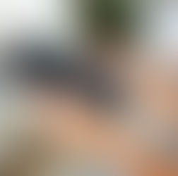Le nouveau site est lancé