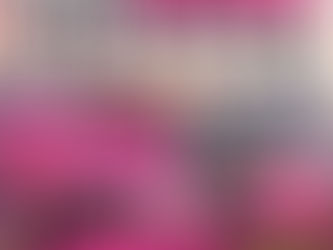 【Pink Dot戶外嘉年華連續第二年取消 今年改以線上音樂會延續活動】