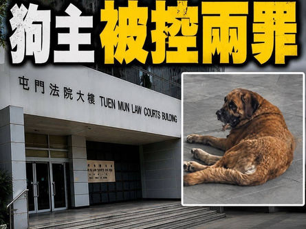 【元朗狗咬狗案|52歲狗主被控兩罪 准保釋押後10月再訊】