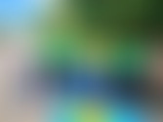 𝐋𝐞 𝐌𝐝𝐄 𝐫𝐞𝐧𝐟𝐨𝐫𝐜𝐞 𝐥𝐚 𝐜𝐨𝐥𝐥𝐞𝐜𝐭𝐞 𝐝𝐞 𝐬𝐞𝐦𝐞𝐧𝐜𝐞𝐬 𝐥𝐨𝐜𝐚𝐥𝐞𝐬 𝐩𝐨𝐮𝐫 𝐬𝐨𝐮𝐭𝐞𝐧𝐢𝐫 𝐥𝐚 𝐫𝐞𝐟𝐨𝐫𝐞𝐬𝐭𝐚𝐭𝐢𝐨𝐧 𝐧𝐚𝐭𝐢𝐨𝐧𝐚𝐥𝐞
