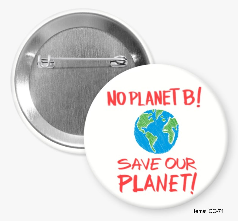 No Planet B!, Save Our Planet!, Climate Change Buttons